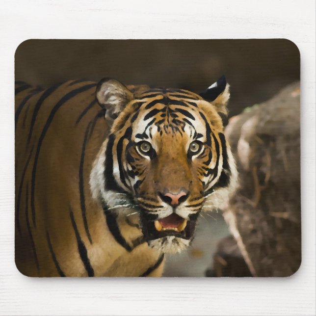Siberian Tiger Musmatta (Framsidan)