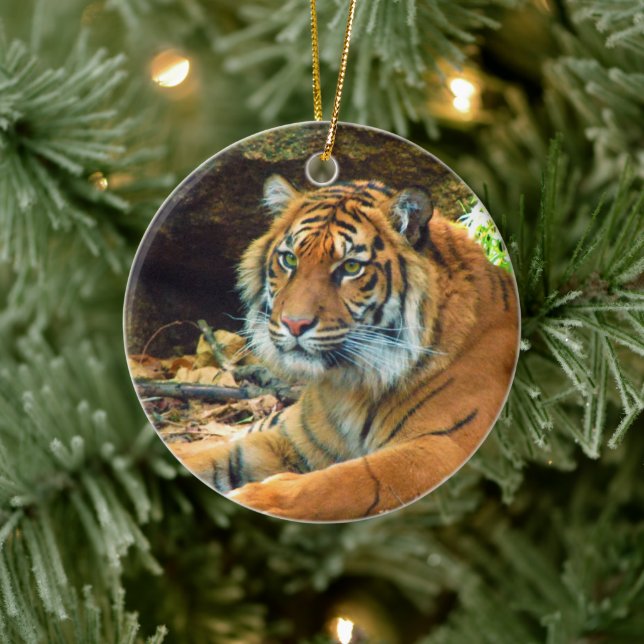 Siberian Tiger Ornament (Träd)