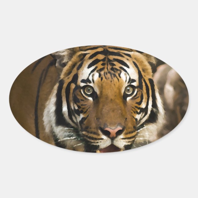 Siberian Tiger Ovalt Klistermärke (Framsida)