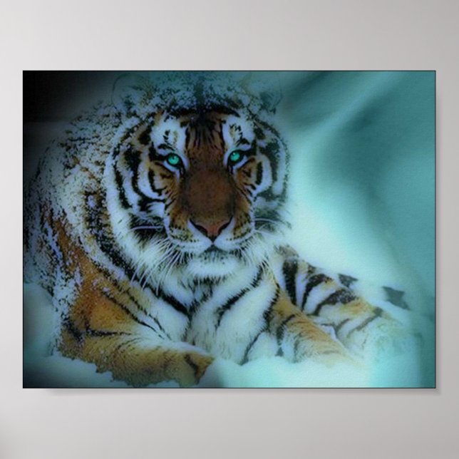Siberian Tiger Poster (Framsidan)