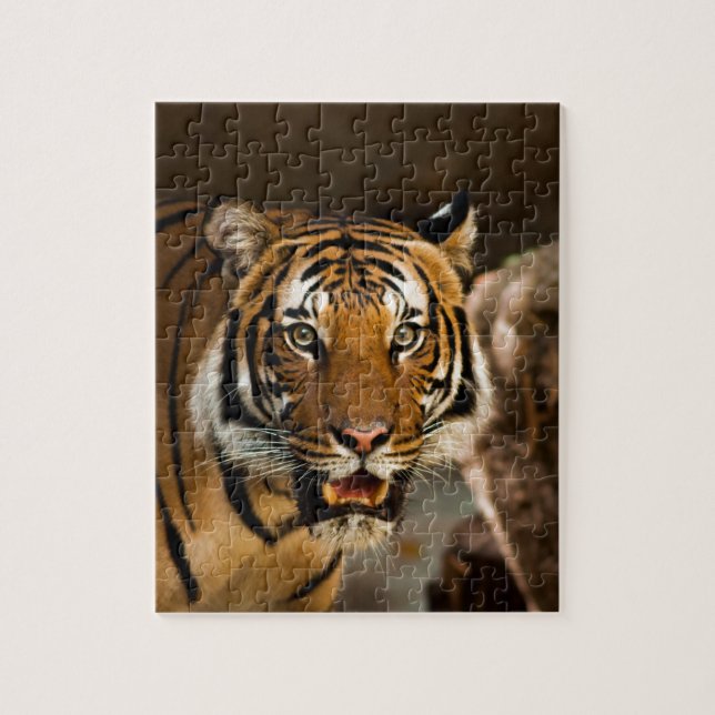 Siberian Tiger Pussel (Vertikal)