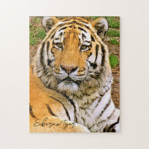 Siberian Tiger Pussel