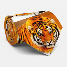 Siberian tiger