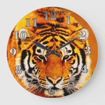 Siberian tiger