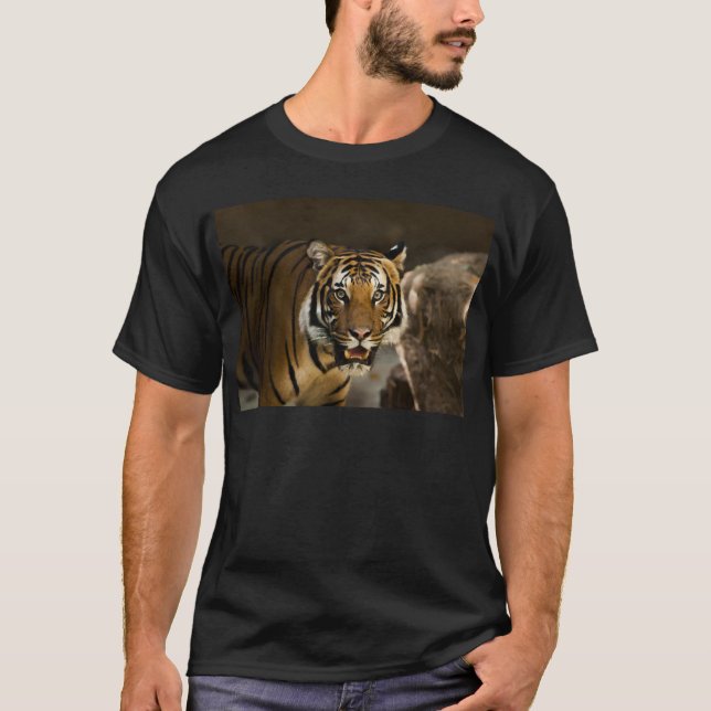 Siberian Tiger T-shirt (Framsida)