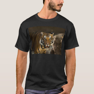 Siberian Tiger Tee