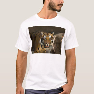 Siberian Tiger Tee
