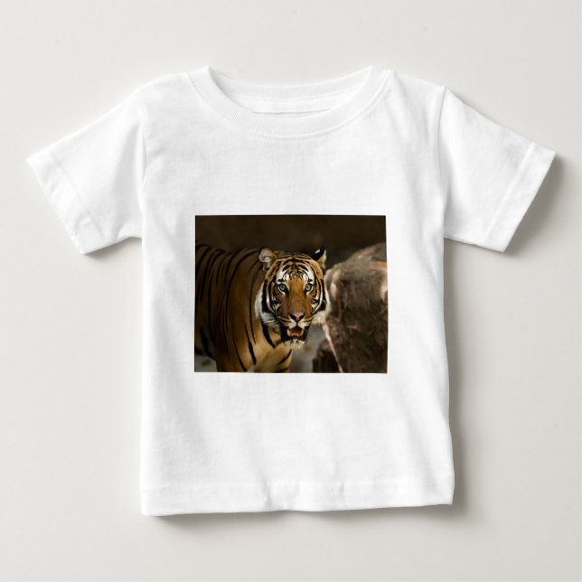 Siberian Tiger Tröja (Framsida)