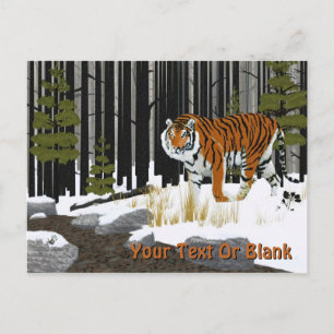 Siberian Tiger Vykort
