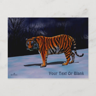 Siberian Tiger Vykort