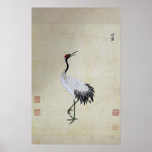 Siberian White Crane Poster (Framsidan)