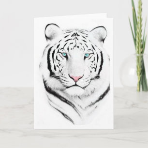 Siberian White Tiger Kort