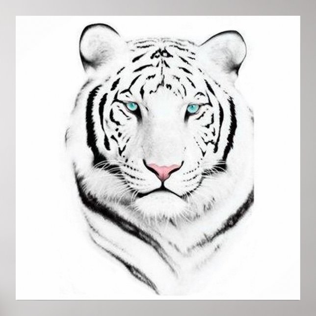 Siberian White Tiger Poster (Framsidan)