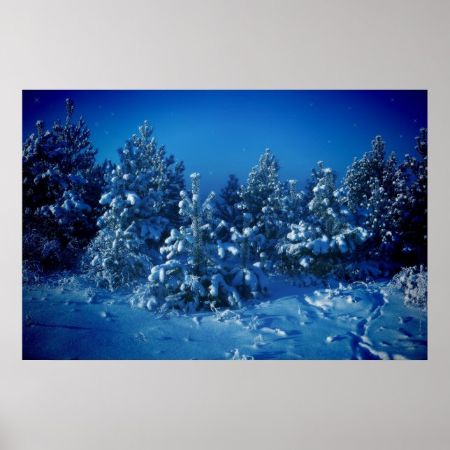 Siberian Winter Poster (Framsidan)