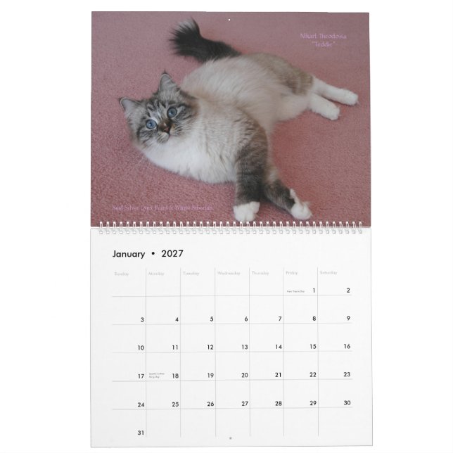Siberianskatter Januari 2014 som marscherar Kalender (Jan 2027)