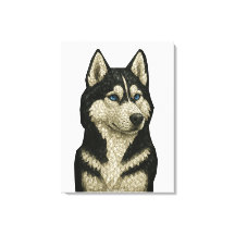 Siberisk Husky-ädelsten