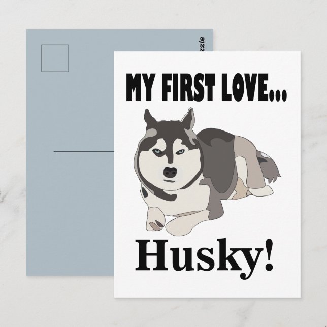 Siberisk Husky Hund Husky Vykort (Fram/baksida)