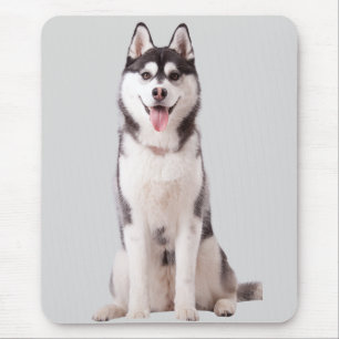 Siberisk Husky Hund Musmatta