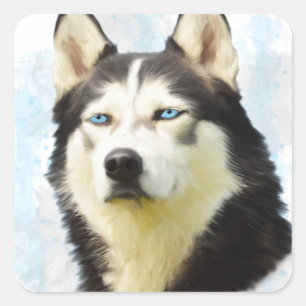 Siberisk Husky Hund Vattenfärg Konst Målning Fyrkantigt Klistermärke