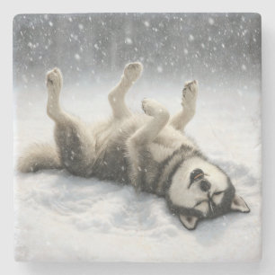 Siberisk Husky Skapar en Snöängel Stenunderlägg