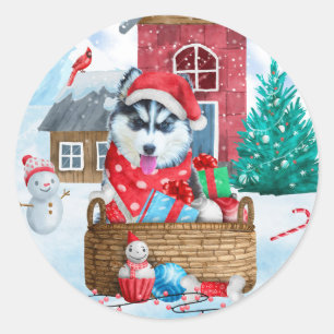 Siberisk Huskyhund i snö Jul Hund Hus Runt Klistermärke