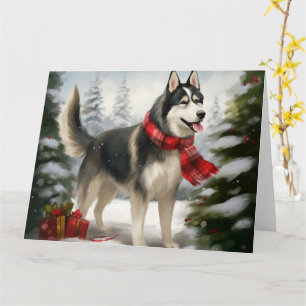 Siberisk Huskyhund i snö jul Kort
