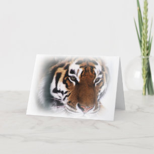 Siberisk tiger Greeting Card Kort