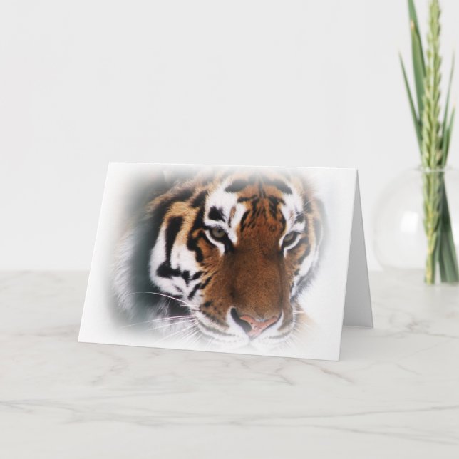 Siberisk tiger Greeting Card Kort (Framsida)