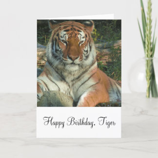 Siberiska tigerhälsningskort kort