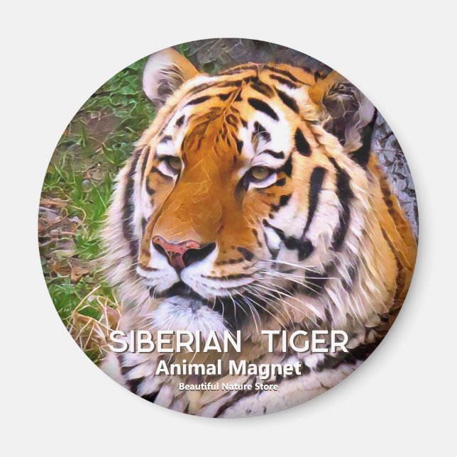 Sibirien Tiger マ グ ネ ッ ト Magnet (Framsidan)