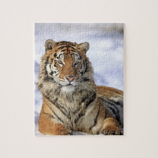 Sibirien Tiger, Panthera tigris altaica, Asien Pussel (Vertikal)