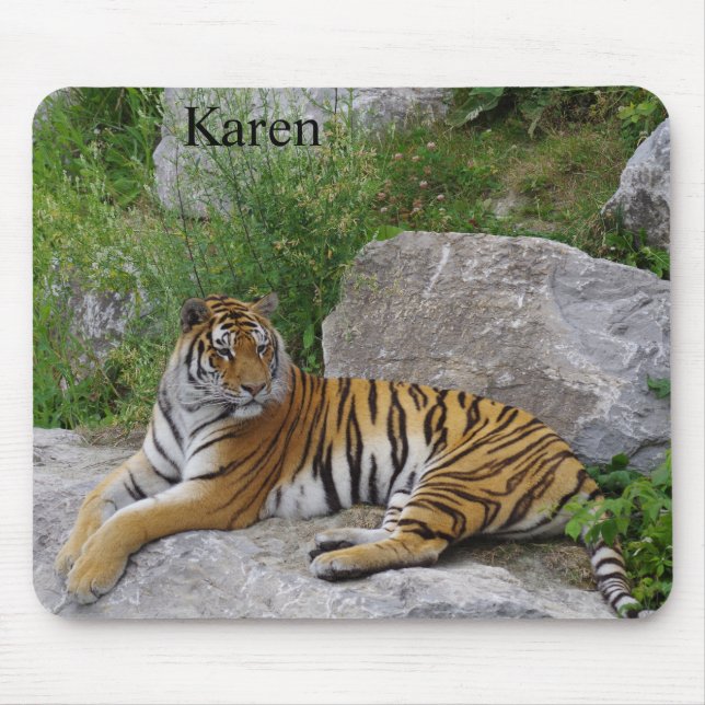 Sibirien Tiger Relaxing på Sten Musmatta (Framsidan)