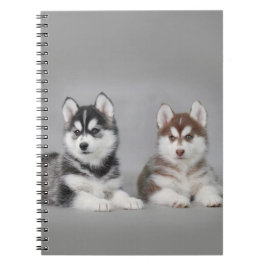 Sibirisk husky-valpar anteckningsbok med spiral