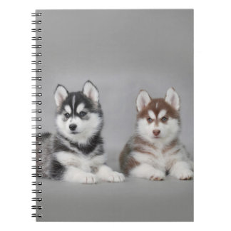 Sibirisk husky-valpar anteckningsbok med spiral