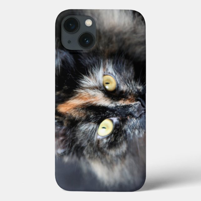 Sibirisk katt (Baksida)