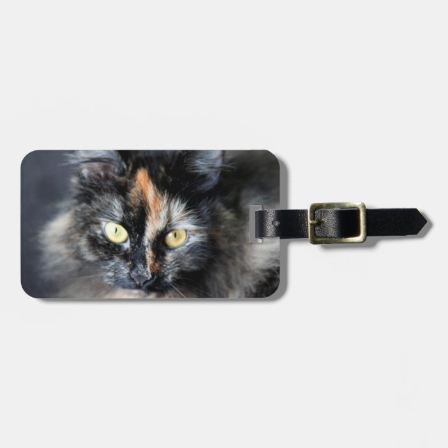 Sibirisk katt bagagebricka (Horisontell Framsida)