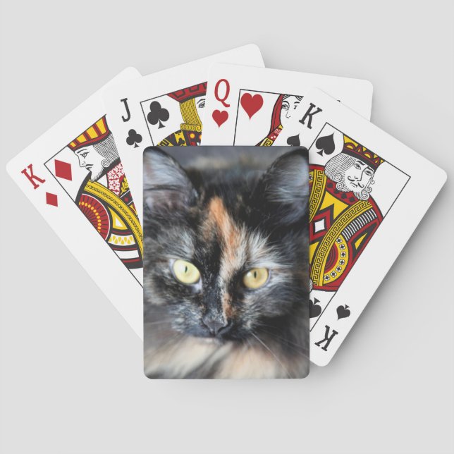 Sibirisk katt casinokort (Baksidan)
