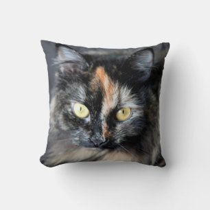 Sibirisk katt kudde