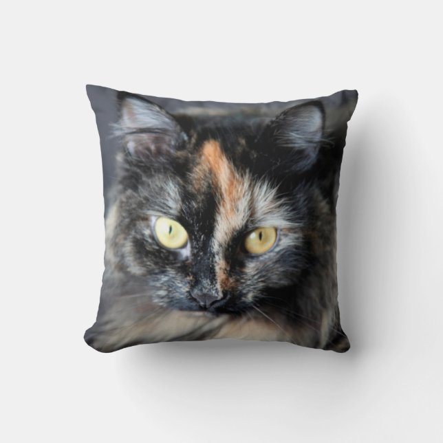 Sibirisk katt kudde (Framsida)