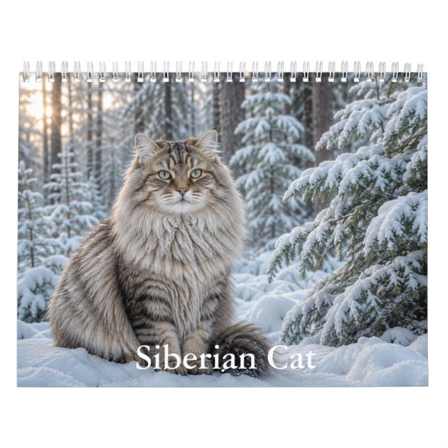 Sibirisk kattkalender  kalender (Omslag)