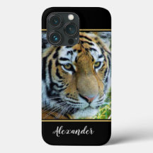 Sibirisk Tiger, Amur Tiger