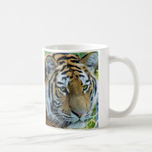 Sibirisk Tiger, Amur Tiger Kaffe Mugg