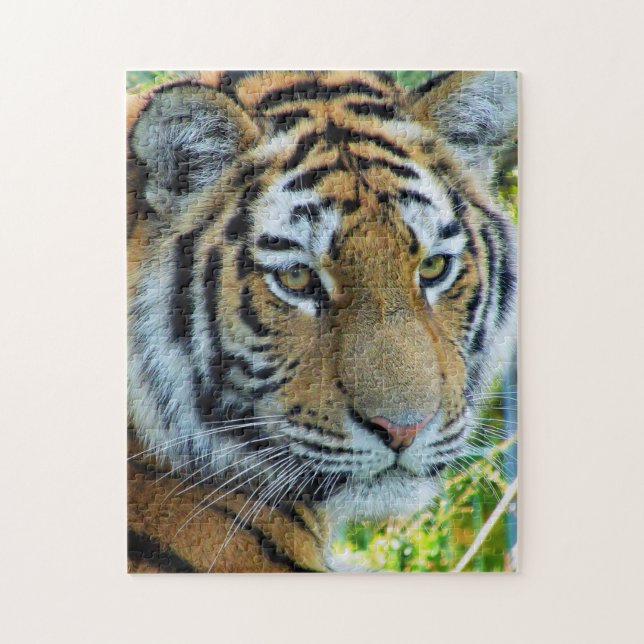 Sibirisk Tiger, Amur Tiger Pussel (Vertikal)