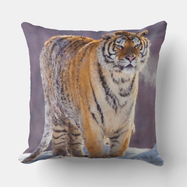 Sibirisk tiger i snö, Kina Kudde (Framsida)