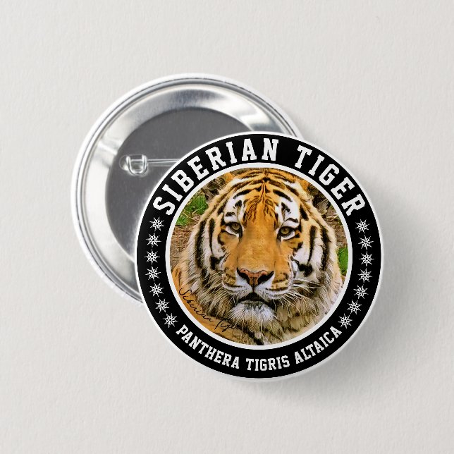 Sibirisk tiger knapp (Framsida & baksida)