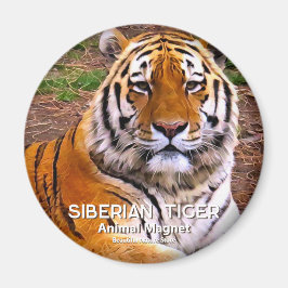 Sibirisk tiger magnet