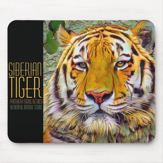 Sibirisk Tiger [Musmatta] Musmatta (Framsidan)