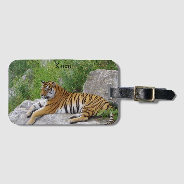 Sibirisk tiger som vilar på en sten bagagebricka (Framsida horisontal)