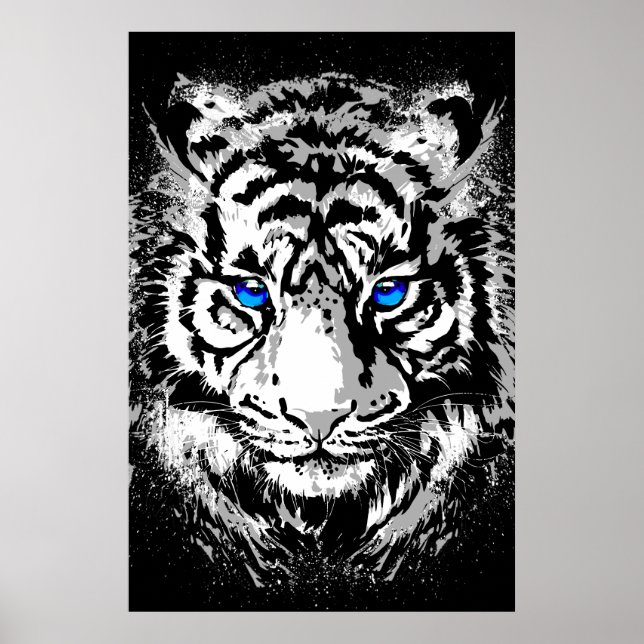 Sibirisk vit tigerhuvud - Tiger Affisch blå ögon (Framsidan)