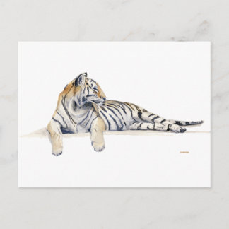 Sibiriska ///Bengal Tiger Vykort